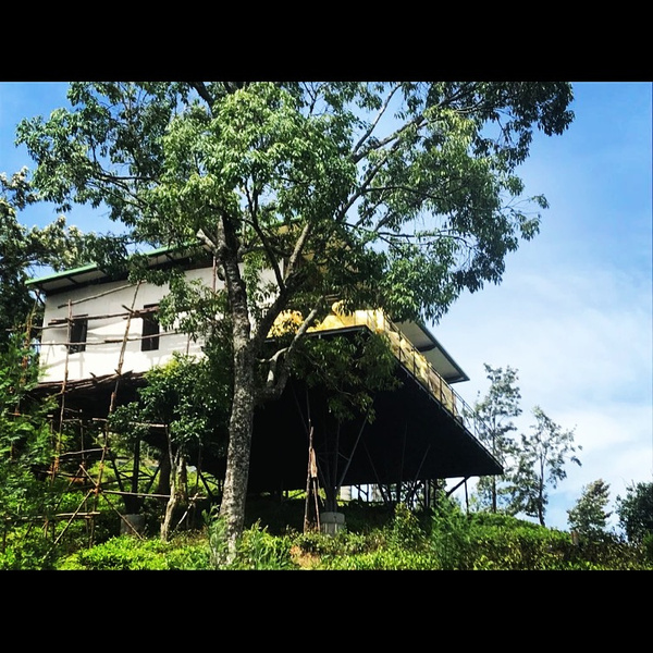 An Amara Home nestled on top of a hill with trees around it.